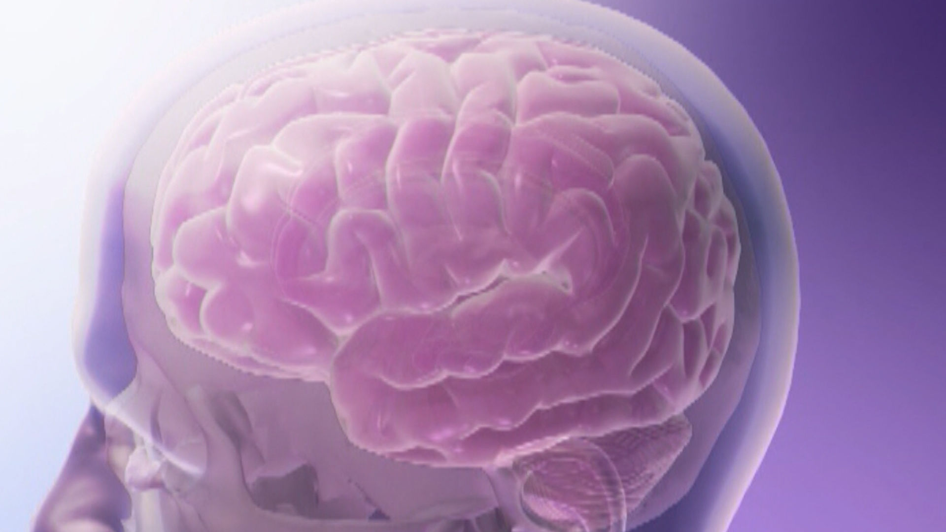 Brain animation